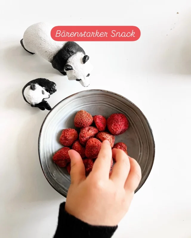 Ein kleiner Snack zwischendurch ist immer bärenstark 🐻‍❄️😉. Unsere NUSSYY® BIO ERDBEEREN GEFRIERGETROCKNET sind beliebt bei Groß und Klein.

#NUSSYY #BIO #kindersnack #snackzeit #bioerdbeeren