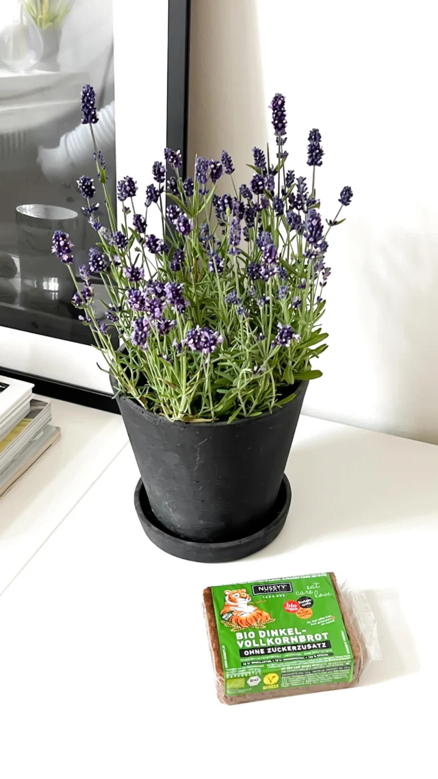 Kommt und macht eine NUSSYY® Blumenwiese mit uns! 🌻🌱
Was ihr dafür braucht:
🌾 NUSSYY® BIO DINKEL-VOLLKORNBROT als Boden
🌿 NUSSYY® BIO KÜRBISKERNAUFSTRICH als grüne Wiese
☀️ NUSSYY® BIO LECKER-KEKSI® ZITRONE – DINKEL als strahlende Sonne
💐 und Blumen nach Wahl – bei uns war’s Lavendel!

Schnell gezaubert, noch schneller verputzt – und fast zu hübsch zum Aufessen … fast! Hihi 💛

#NUSSYY #BIO #vegan #kochenmitkind